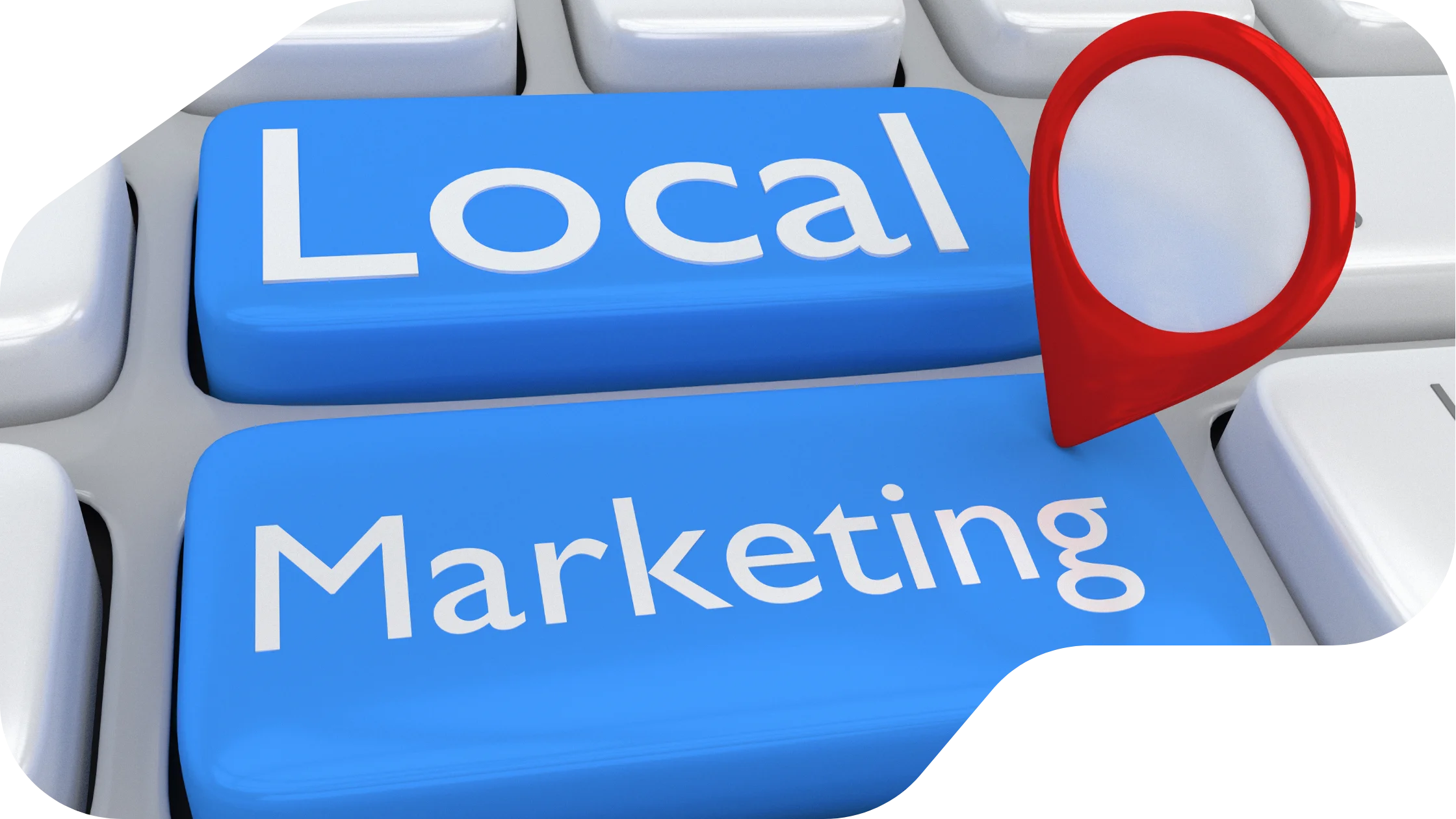 Local SEO & Google Business Profile Statistics